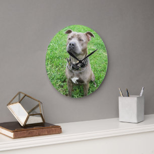 Staffordshire Bull Terrier, horloge murale