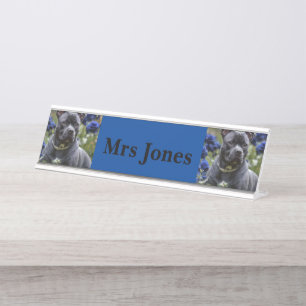 Staffordshire Bull Terriër in Blue Roos Garden, Bureau Naambordje