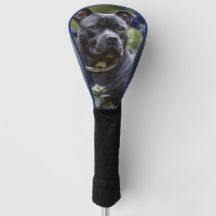 Staffordshire Bull Terriër in Blue Roos Garden, Golfheadcover