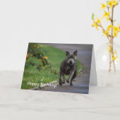 Staffordshire Bull Terrier Kaart (Gele Bloem)