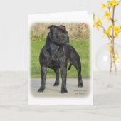 Staffordshire Bull Terrier Kaart (Gele Bloem)