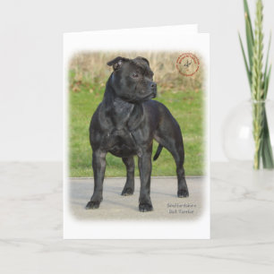 Staffordshire Bull Terrier Kaart