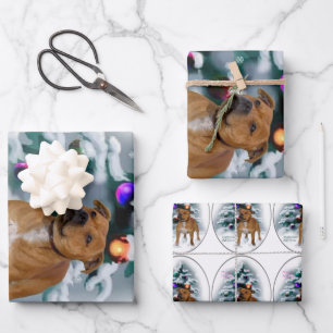 Staffordshire Bull Terrier Kerstmis Inpakpapier Vel