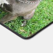 Staffordshire Bull Terrier, Mat de bureau (Coin)