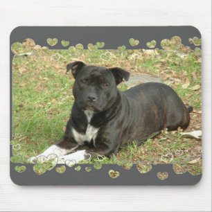 Staffordshire Bull Terrier-muispad Muismat