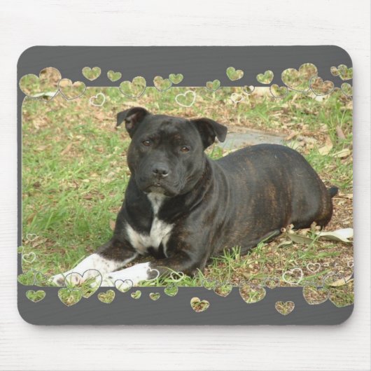 Staffordshire Bull Terrier-muispad Muismat (Voorkant)