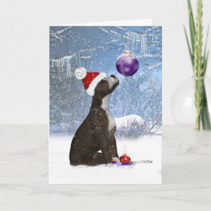 Staffordshire bull terrier pup, vakantie Kaart