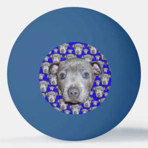 Staffordshire Bull Terrier Puppy Pingpongballen