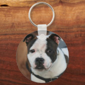Staffordshire Bull Terrier sleutelhanger (Voorkant)