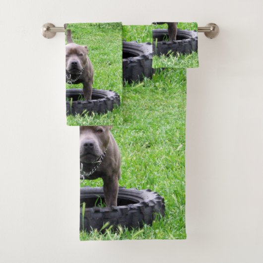 Staffordshire Bull Terrier Temps De Jouer, (En situation)