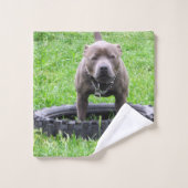 Staffordshire Bull Terrier Temps De Jouer, (Gant de toilette)
