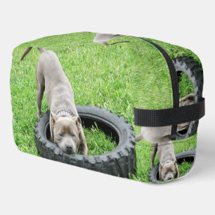 Staffordshire Bull Terrier Toilettasje