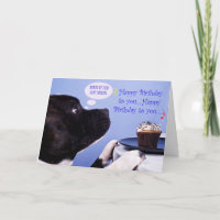 Staffordshire Bull Terrier verjaardagskaart