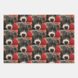Staffordshire Bull Terrier Wrapping Paper