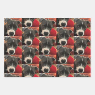 Staffordshire Bull Terrier Wrapping Paper