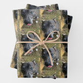 Staffordshire Bull Terrier Wrapping Paper (In situ)