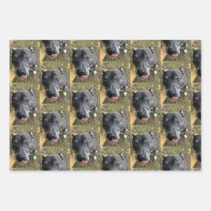 Staffordshire Bull Terrier Wrapping Paper