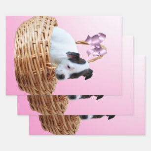 Staffordshire Puppy in een mandje, Inpakpapier Vel