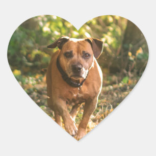 Staffordshire stier hart sticker