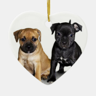 Staffordshire stier puppy ornament
