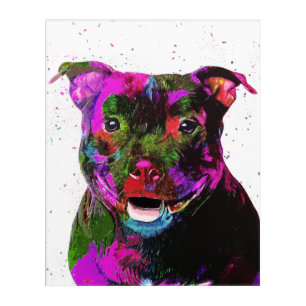 Staffordshire Terrier Colorée Pop Art
