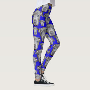 Stafforshire Bull Terrier Puppy Face Leggings
