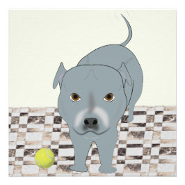 Staffy 24x24 print foto afdruk