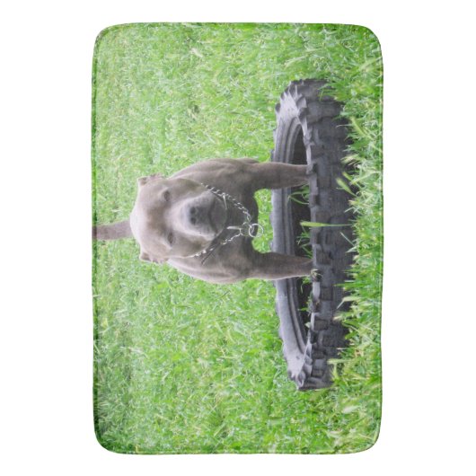 Staffy Bull Terrier Tijd om te spelen, Badmat (Voorkant Verticaal)