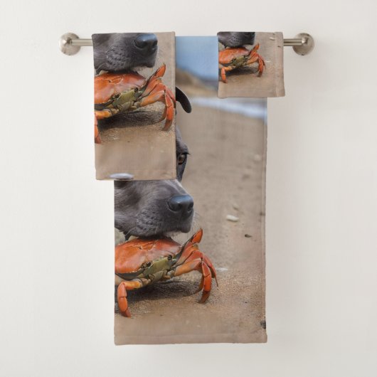 Staffy is bevriend met een strandkrab, bad handdoek (Insitu)