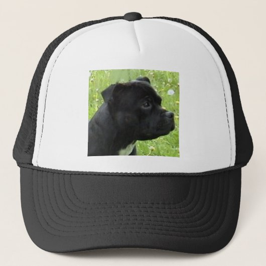 staffy.png trucker pet (Voorkant)
