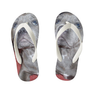 Staffy Puppy Sooky Eyes Kinder Teenslippers
