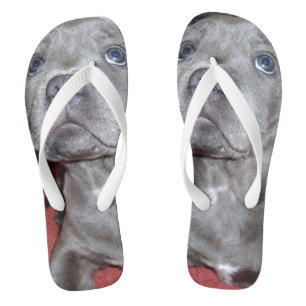 Staffy Puppy Sooky Eyes Teenslippers