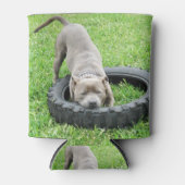 Staffy spelen met band, blikjeskoeler (Voorkant)