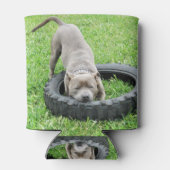 Staffy spelen met band, blikjeskoeler (Achterkant)