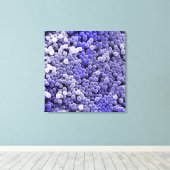 stafylokok canvas afdruk (Insitu (Houten vloer))