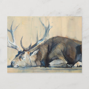 Stag 2014 briefkaart