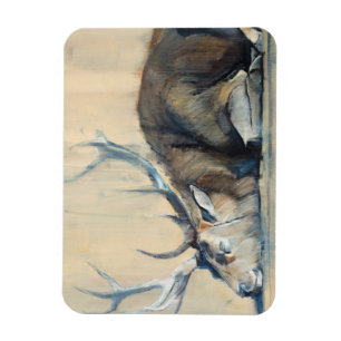 Stag 2014 magneet