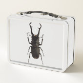 Stag Beetle (Achterkant)