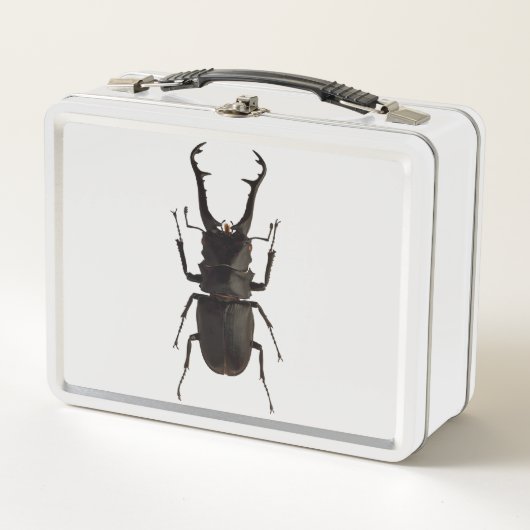 Stag Beetle (Voorkant)