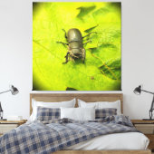 Stag Beetle, Beetles, Bug Canvas Afdruk (Insitu (Slaapkamer))