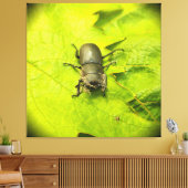 Stag Beetle, Beetles, Bug Canvas Afdruk (Insitu (Woonkamer))