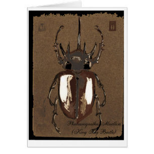 Stag Beetle-kaart