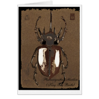 Stag Beetle-kaart