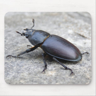 Stag Beetle Mouse Mat Muismat