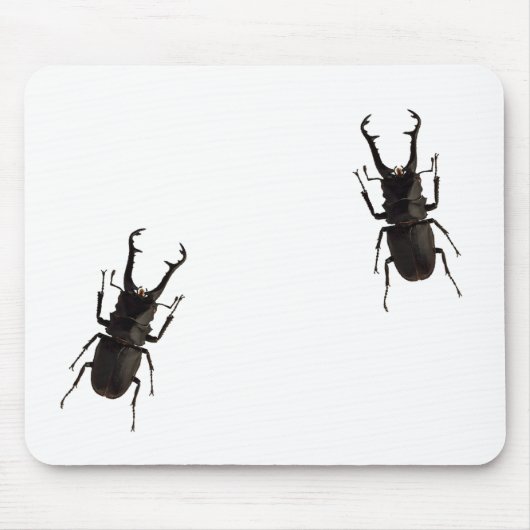 Stag Beetle Muismat (Voorkant)