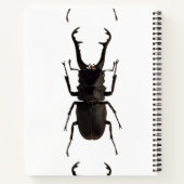 Stag Beetle Notitieboek (Achterkant)