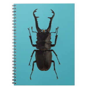 Stag Beetle Notitieboek