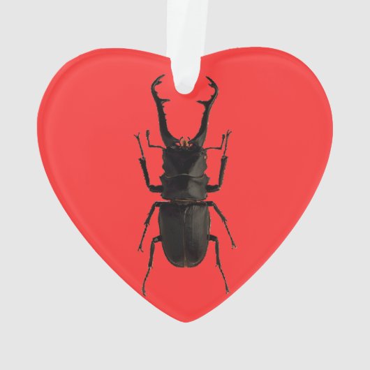 Stag Beetle Ornament (achterkant)