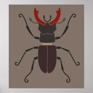 Stag Beetle Poster