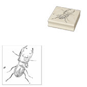 Stag Beetle Rubberstempel (Gestempeld)
